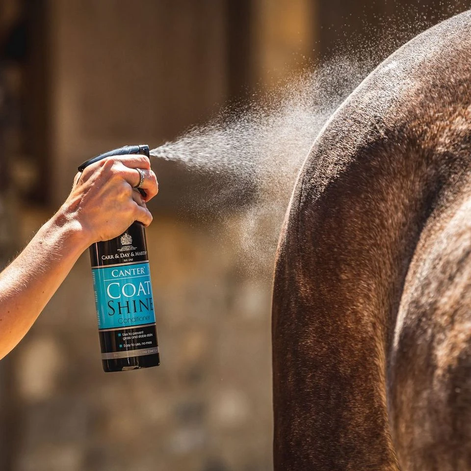 Canter Coat Shine 500ml 4 Canter Coat Shine 500ml - Image 2