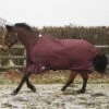 JHL Essential Turnout Rug 1 JHL Essential Turnout Rug -Horse Riding Equipment Store go 345096 a