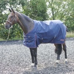 Rastrick 200g Turnout Rug 5 Rastrick 200g Turnout Rug -Horse Riding Equipment Store go 402626 z
