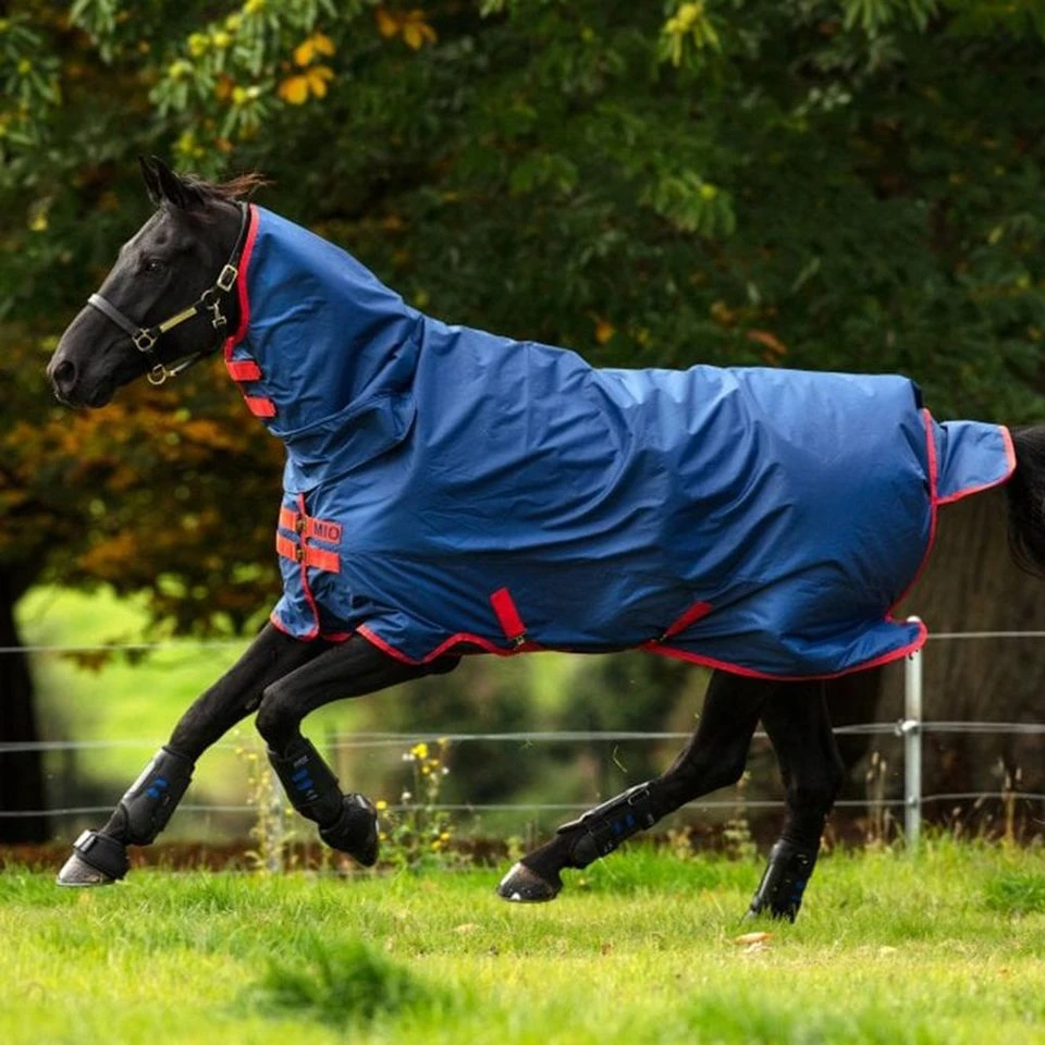 All-in-one Turnout Rug (350g) 4 All-in-one Turnout Rug (350g) - Image 2