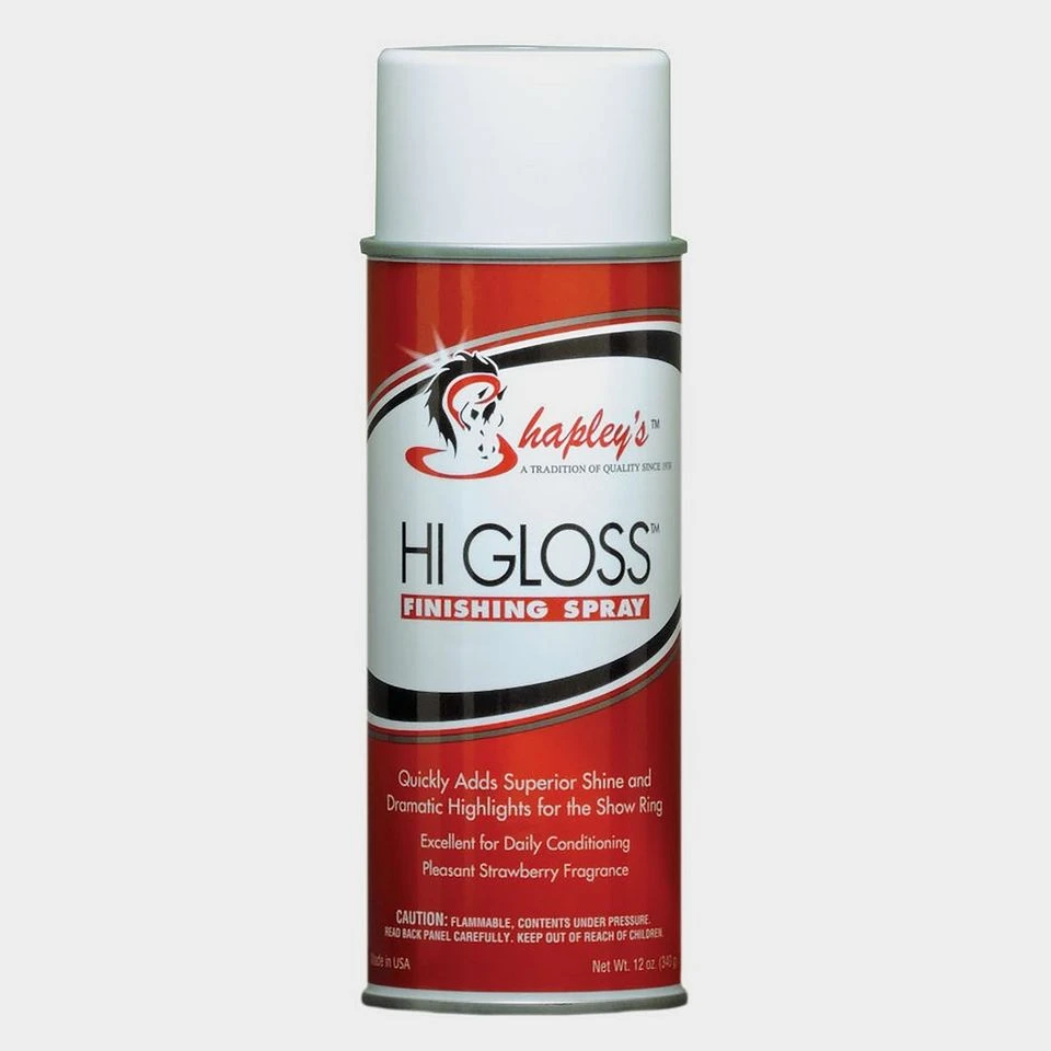 Hi Gloss Finishing Spray 3 Hi Gloss Finishing Spray