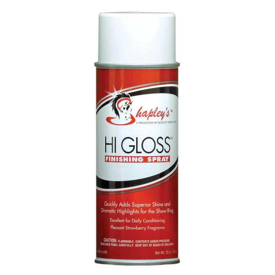 Hi Gloss Finishing Spray 4 Hi Gloss Finishing Spray - Image 2