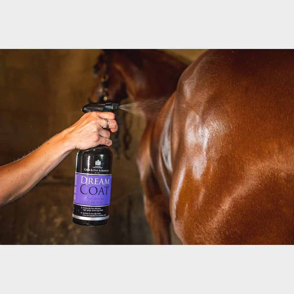 Dreamcoat Spray 4 Dreamcoat Spray - Image 2