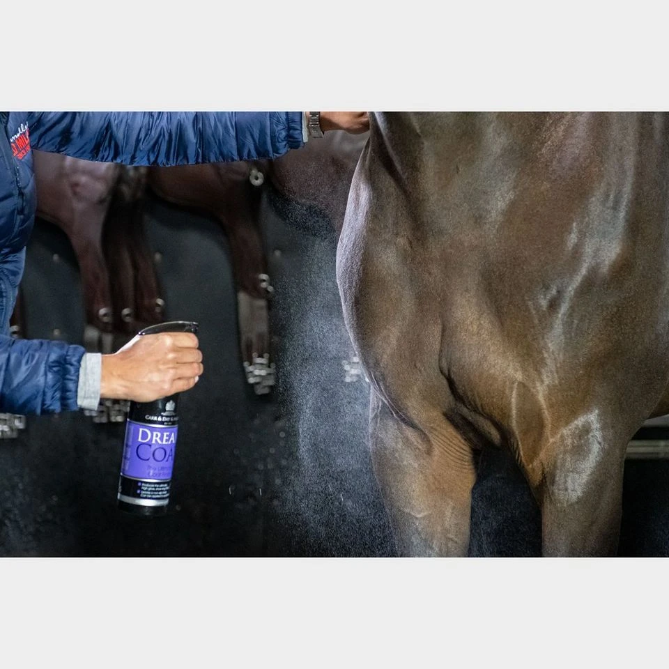 Dreamcoat Spray 5 Dreamcoat Spray - Image 3