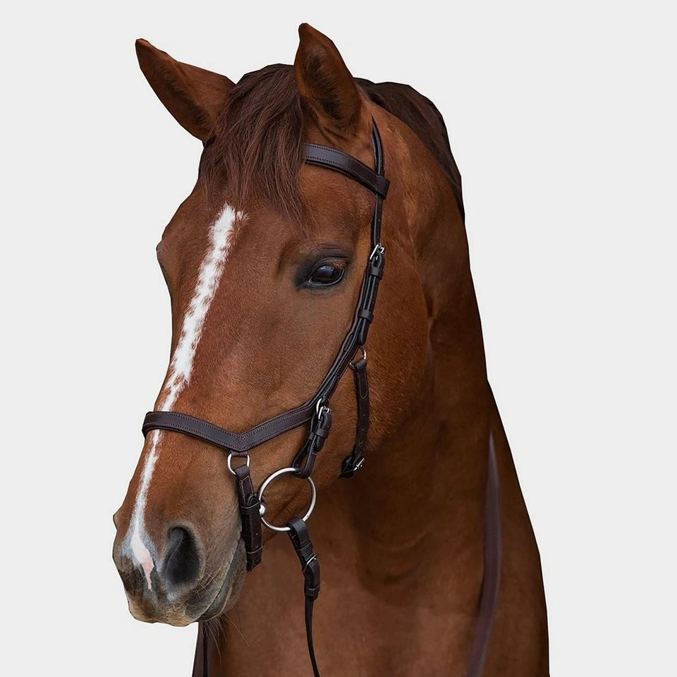 Rambo Micklem Competition Bridle 3 Rambo Micklem Competition Bridle
