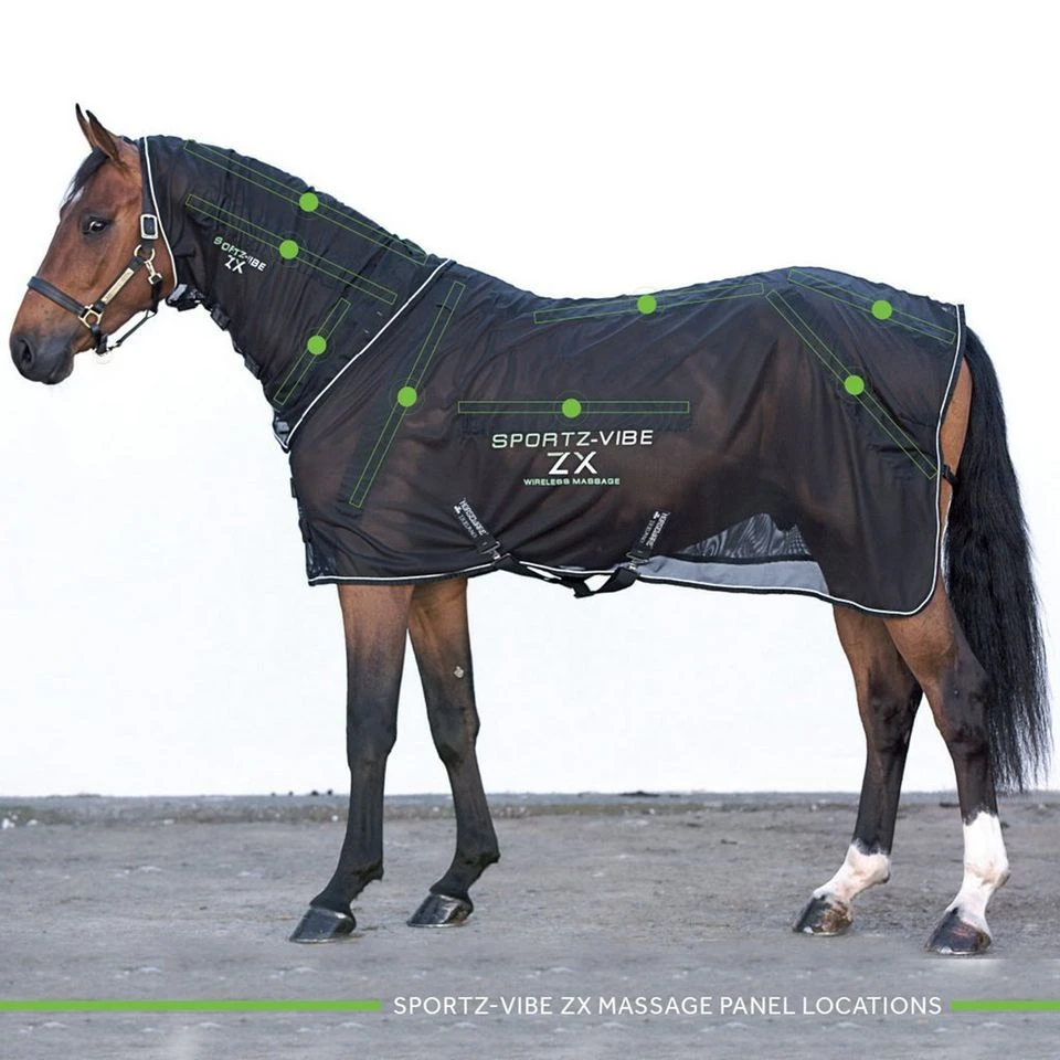 Sportz-Vibe Rug 4 Sportz-Vibe Rug - Image 2