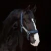 Rambo Padded Headcollar