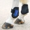 ARMA Fetlock Boots Black/Royal Blue 2 ARMA Fetlock Boots Black/Royal Blue -Horse Riding Equipment Store go 477832 a