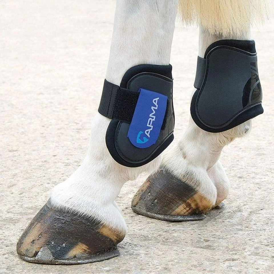 ARMA Fetlock Boots Black/Royal Blue 5 ARMA Fetlock Boots Black/Royal Blue - Image 3