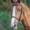 Raised Cavesson Bridle 2 Raised Cavesson Bridle -Horse Riding Equipment Store go 477853 a