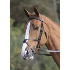 Mexican Bridle 5 Mexican Bridle -Horse Riding Equipment Store go 477856 z
