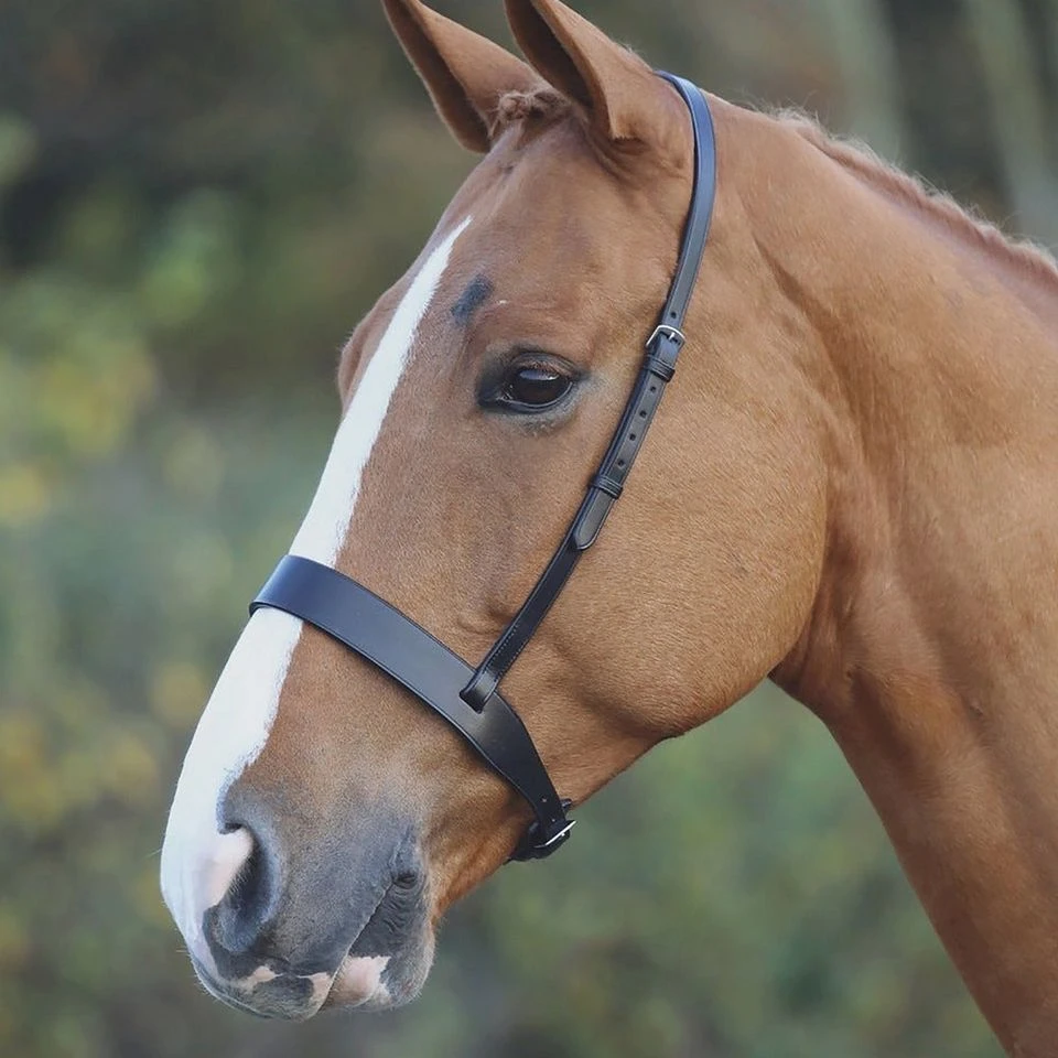 Cavesson Hunt Noseband Black 3 Cavesson Hunt Noseband Black