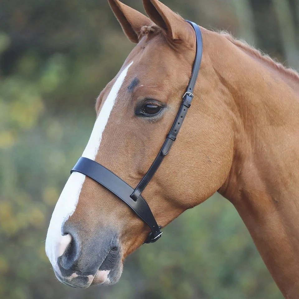 Cavesson Hunt Noseband Black 4 Cavesson Hunt Noseband Black - Image 2
