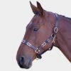 Leather Polo Headcollar 2 Leather Polo Headcollar -Horse Riding Equipment Store go 477919 a