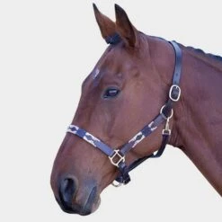Leather Polo Headcollar