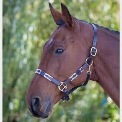 Leather Polo Headcollar -Horse Riding Equipment Store go 477919 b