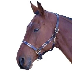 Leather Polo Headcollar -Horse Riding Equipment Store go 477919 z