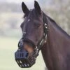 Muzzle Head Collar