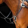 Salisbury 5 Point Breastplate