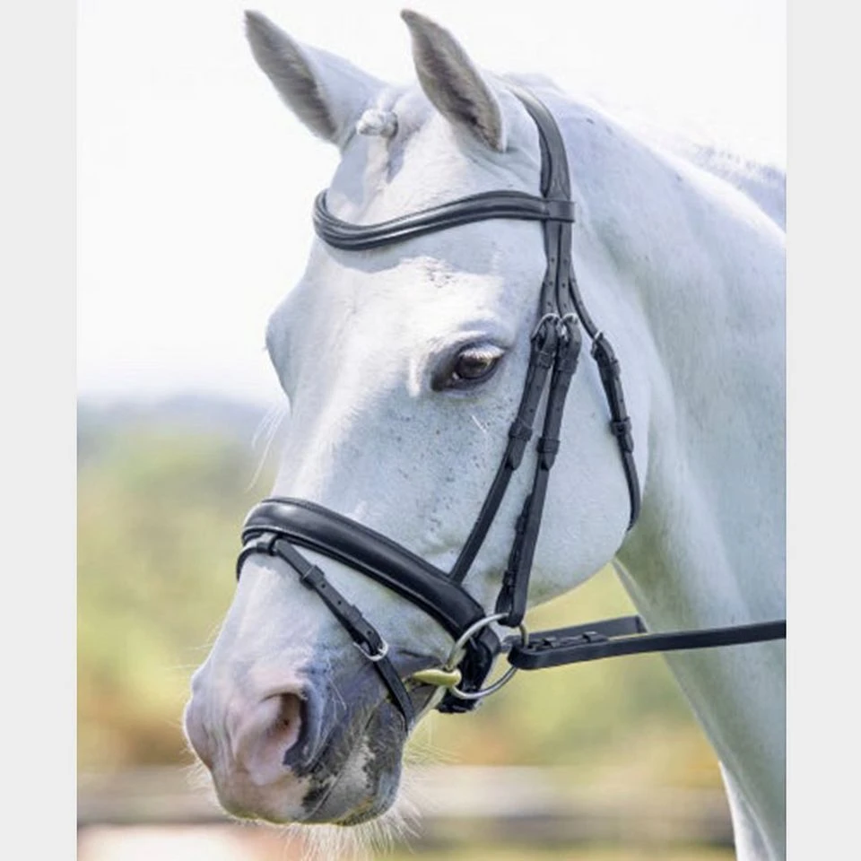 Dressage Flash Bridle Black 4 Dressage Flash Bridle Black - Image 2