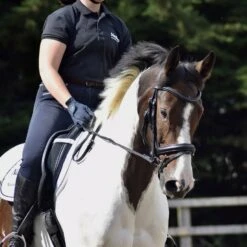 Dressage Flash Bridle Black 19 Dressage Flash Bridle Black -Horse Riding Equipment Store go 477991 f