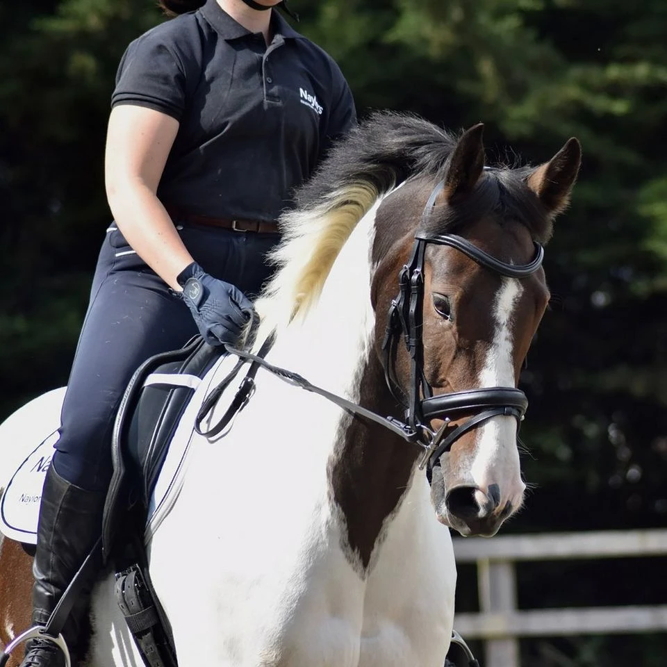 Dressage Flash Bridle Black 8 Dressage Flash Bridle Black - Image 6