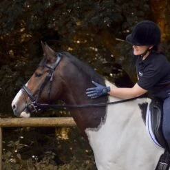 Dressage Flash Bridle Black 20 Dressage Flash Bridle Black -Horse Riding Equipment Store go 477991 g