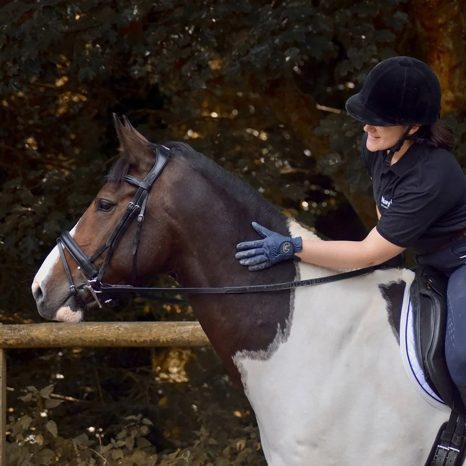 Dressage Flash Bridle Black 9 Dressage Flash Bridle Black - Image 7