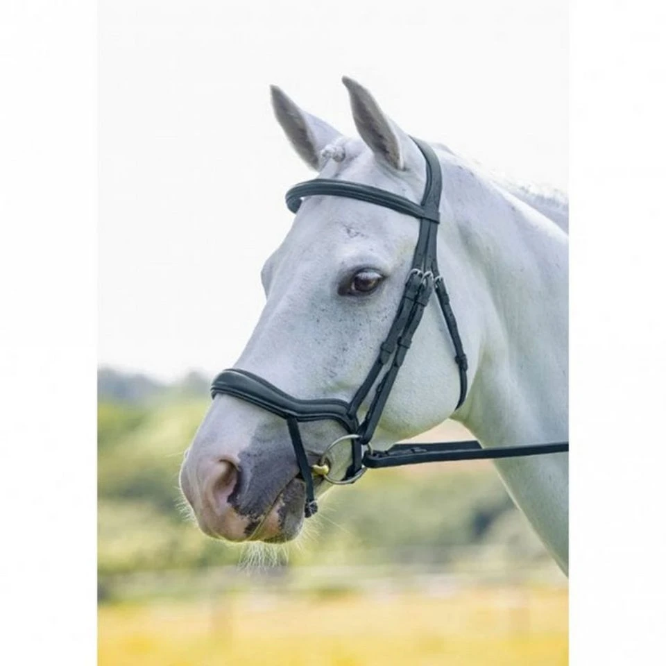 Velociti Ergonomic Flash Bridle Black 4 Velociti Ergonomic Flash Bridle Black - Image 2