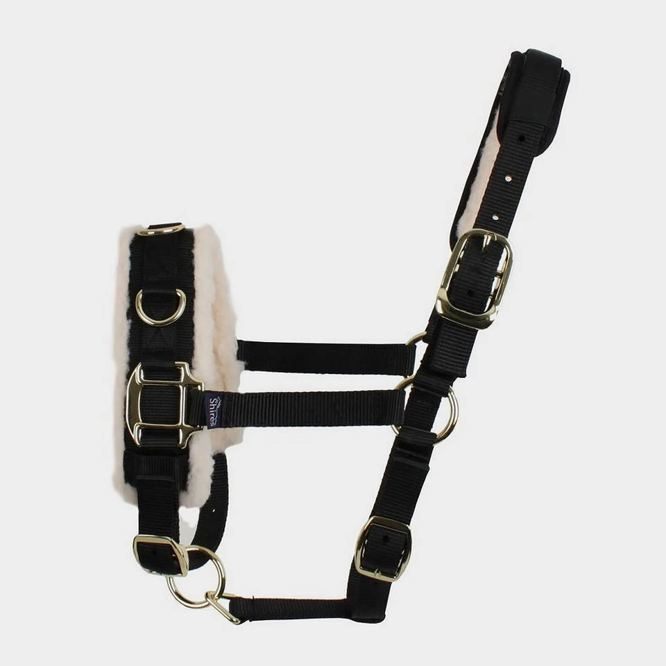 Fleece Lined Lunge Cavesson 4 Fleece Lined Lunge Cavesson - Image 2