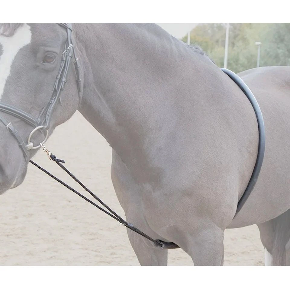 Soft Lunge Aid 6 Soft Lunge Aid - Image 4