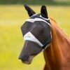 Fly Mask