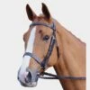 Plain Hunt Bridle