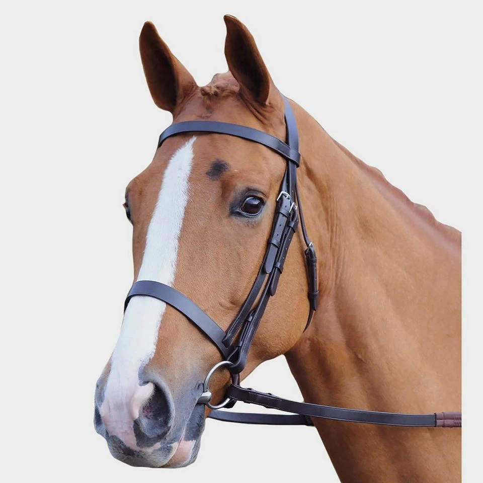 Plain Hunt Bridle 3 Plain Hunt Bridle