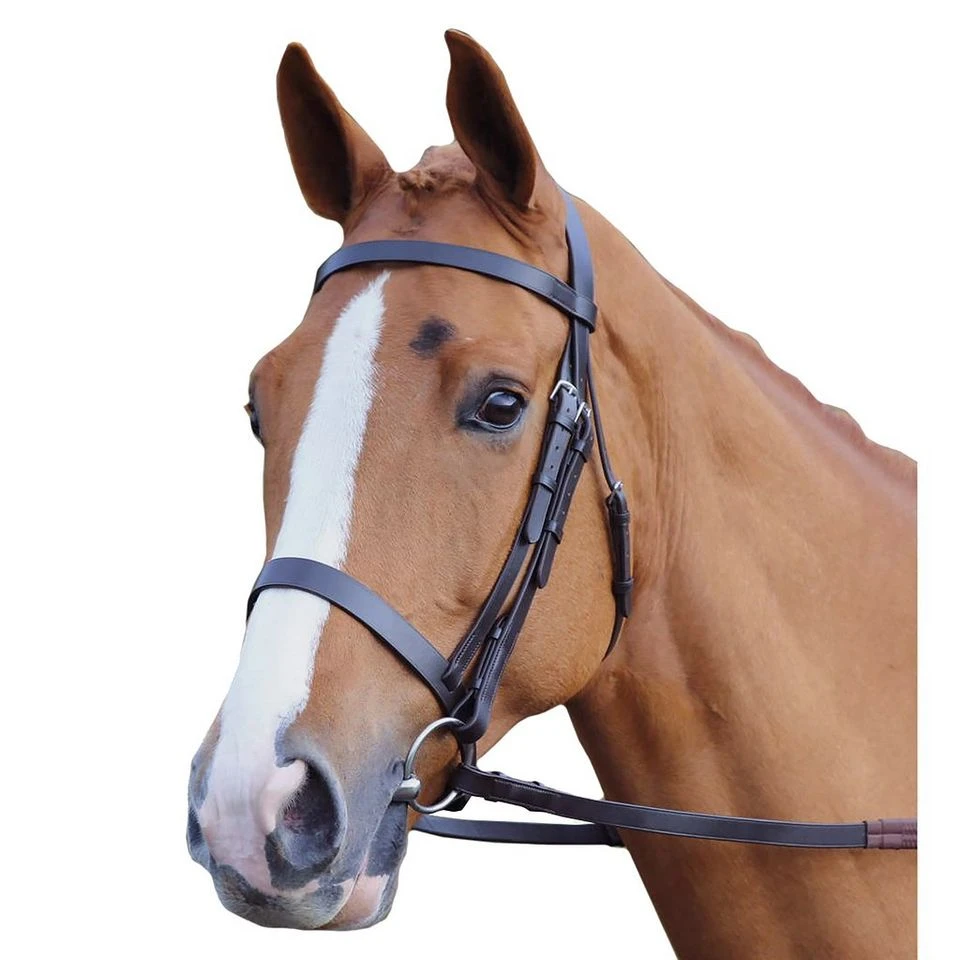 Plain Hunt Bridle 5 Plain Hunt Bridle - Image 3