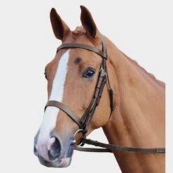 Plain Hunt Bridle