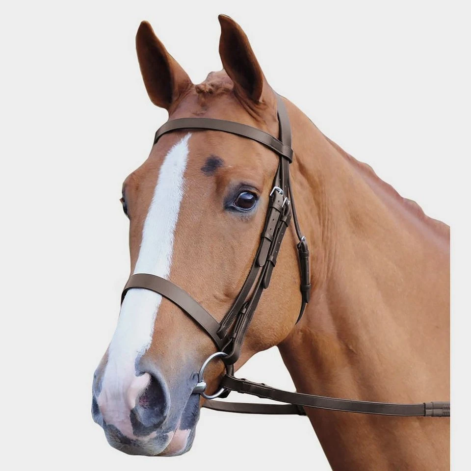 Plain Hunt Bridle 2 Plain Hunt Bridle