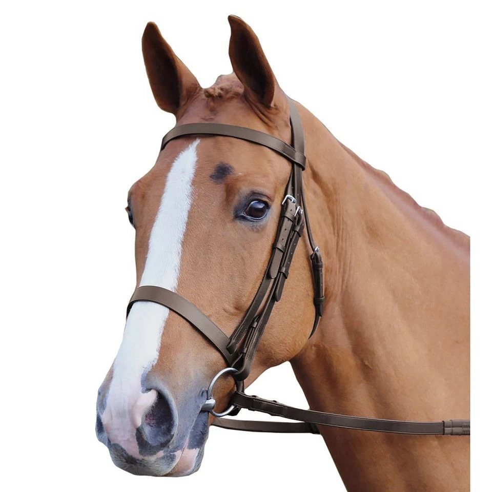 Plain Hunt Bridle 3 Plain Hunt Bridle - Image 2