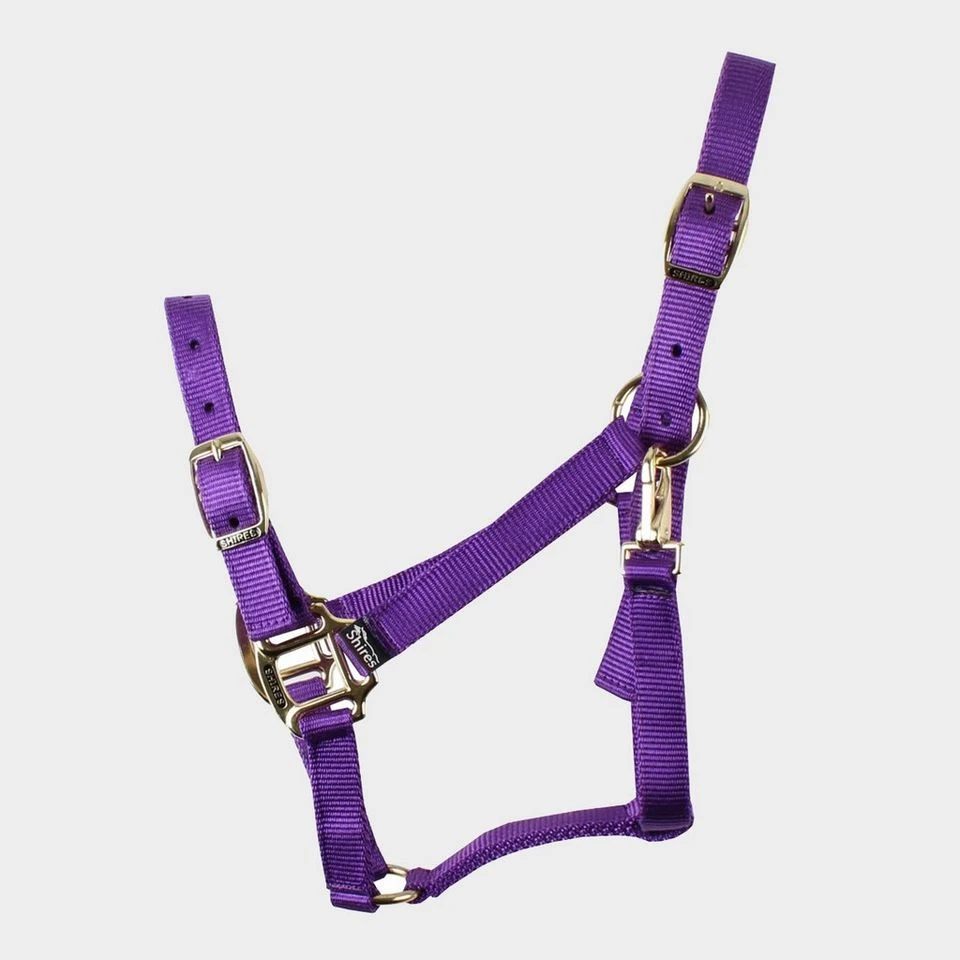Nylon Headcollar Purple 3 Nylon Headcollar Purple