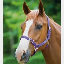 Nylon Headcollar Purple 6 Nylon Headcollar Purple -Horse Riding Equipment Store go 478388 b