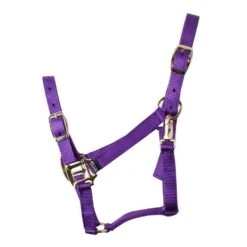 Nylon Headcollar Purple 7 Nylon Headcollar Purple -Horse Riding Equipment Store go 478388 z