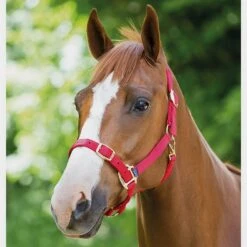 Nylon Headcollar Red -Horse Riding Equipment Store go 478389 b