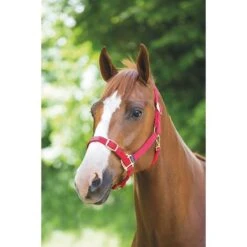 Nylon Headcollar Red -Horse Riding Equipment Store go 478389 z