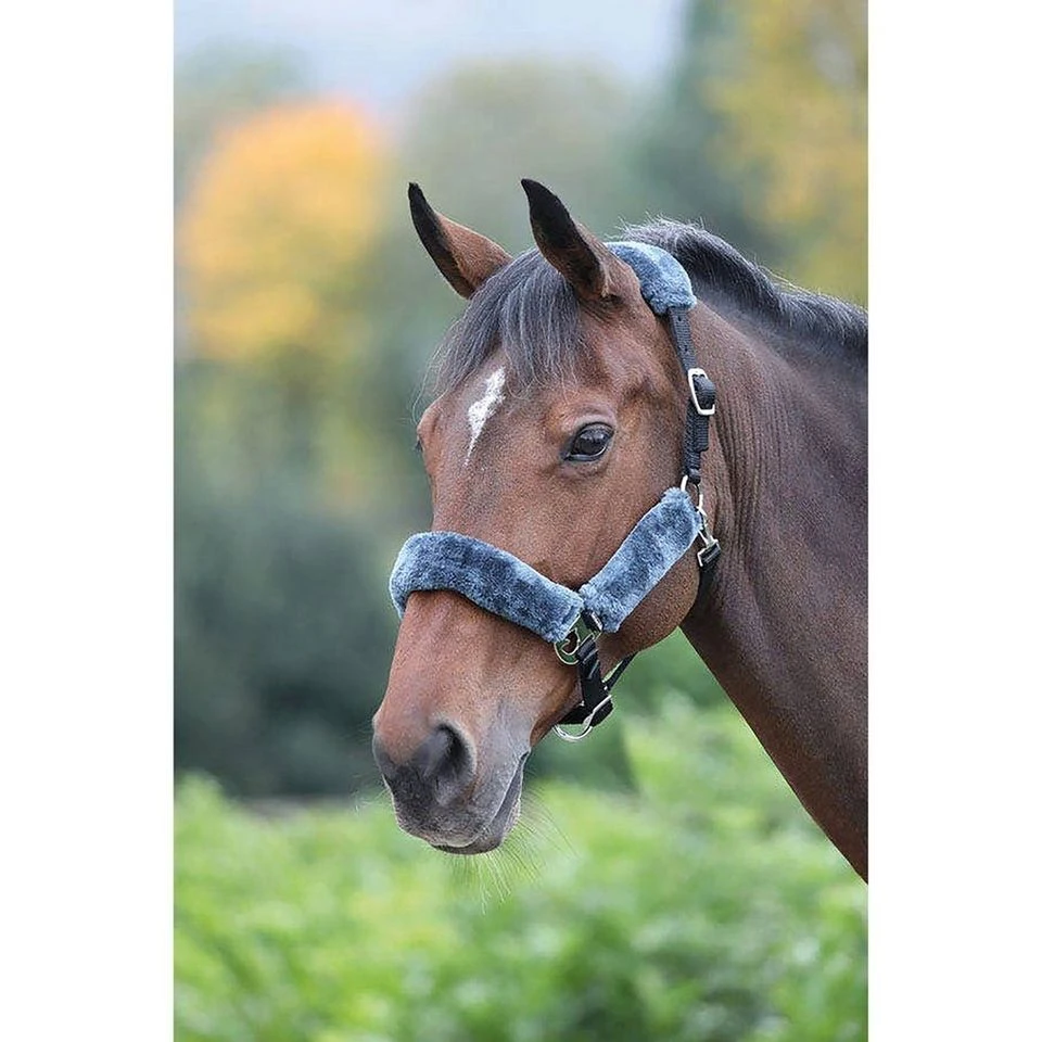 Fleece Lined Headcollar Black/Grey 4 Fleece Lined Headcollar Black/Grey - Image 2