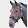 Fleece Lined Headcollar Navy/Grey 1 Fleece Lined Headcollar Navy/Grey -Horse Riding Equipment Store go 478404 a