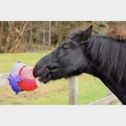 Tongue Twister 8 Tongue Twister -Horse Riding Equipment Store go 478420 c