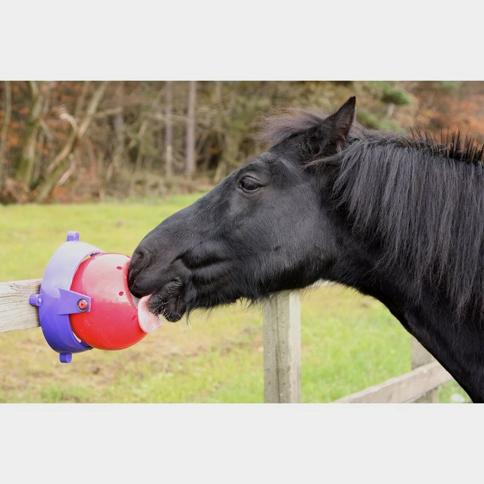 Tongue Twister 5 Tongue Twister - Image 3