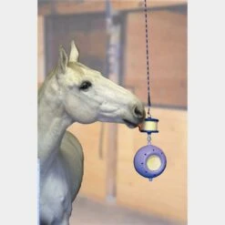 Boredom Breaker 8 Boredom Breaker -Horse Riding Equipment Store go 478432 c