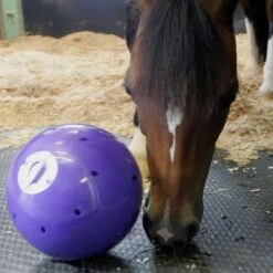 Snak-A-Ball 9 Snak-A-Ball -Horse Riding Equipment Store go 478433 c