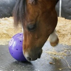 Snak-A-Ball 10 Snak-A-Ball -Horse Riding Equipment Store go 478433 d